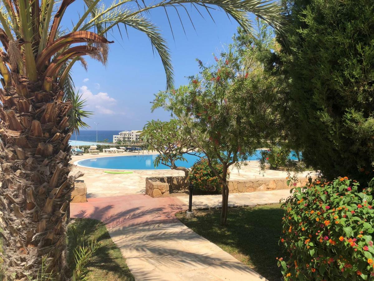 Kings Palace - Fabulous Pool-Side 2 Bed Apartment Πάφος Εξωτερικό φωτογραφία